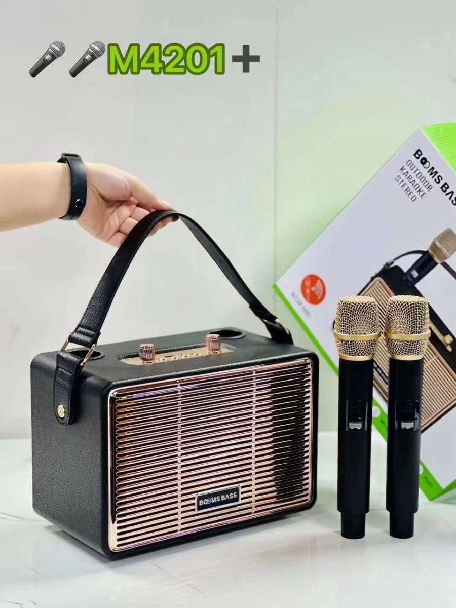 Loa Xách Tay M4201