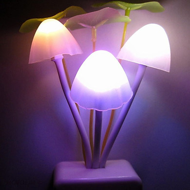 Đèn Ngủ Cảm Ứng Ánh Sáng Hình Cây Nấm Cao Cấp Đèn Ngủ Cảm Ứng Ánh Sáng Hình Cây Nấm Cao Cấp