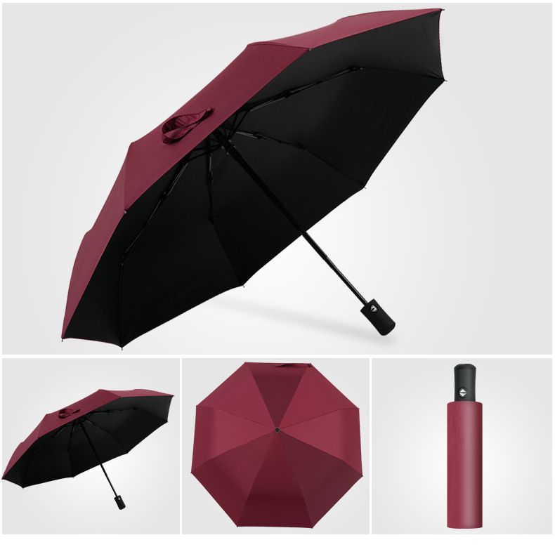 Cây Dù 2 Chiều Tự Xếp Cây Dù 2 Chiều Tự Xếp