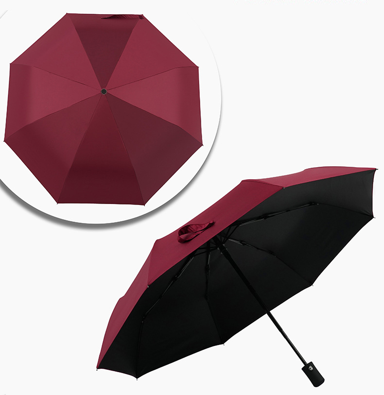 Cây Dù 2 Chiều Tự Xếp Cây Dù 2 Chiều Tự Xếp