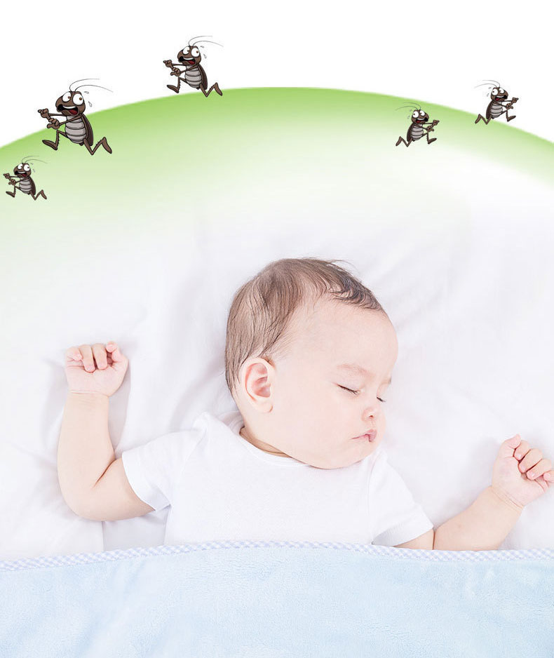 Hộp Tinh Dầu Đuổi Gián, Côn Trùng Hộp Tinh Dầu Đuổi Gián, Côn Trùng