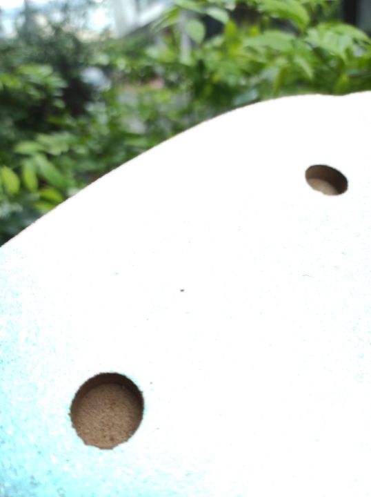 Đế Lót Gỗ Bò Đế Lót Gỗ Bò