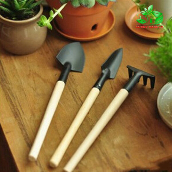 Bộ Dụng Cụ Làm Vườn Mini