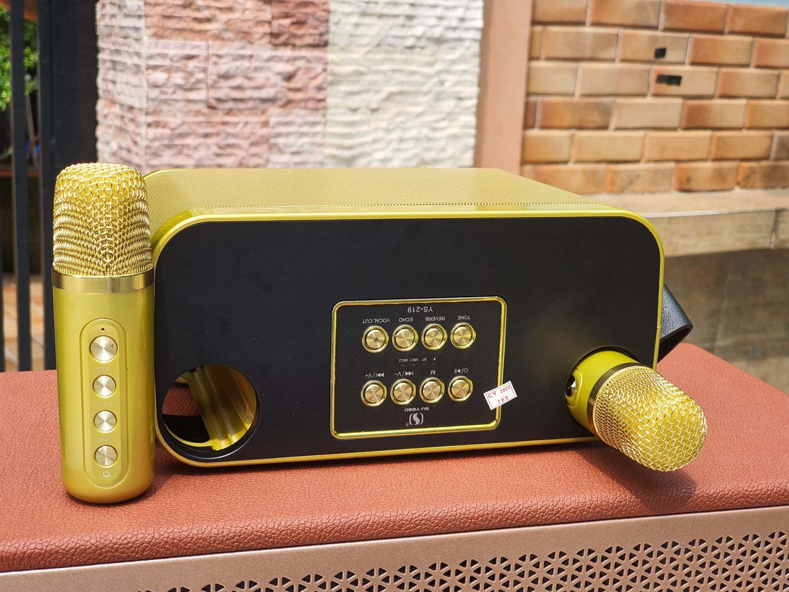 Loa Kèm Mic Ys219