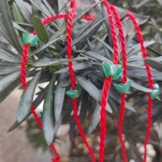 Vòng Đeo Tay Chỉ Đỏ May Mắn Hình Thỏi Vàng Màu Xanh