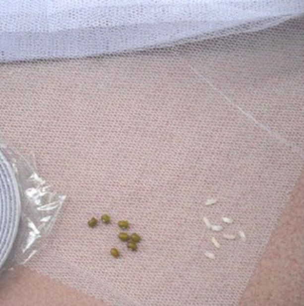 Rèm Chằn Muỗi Mẫu Mới