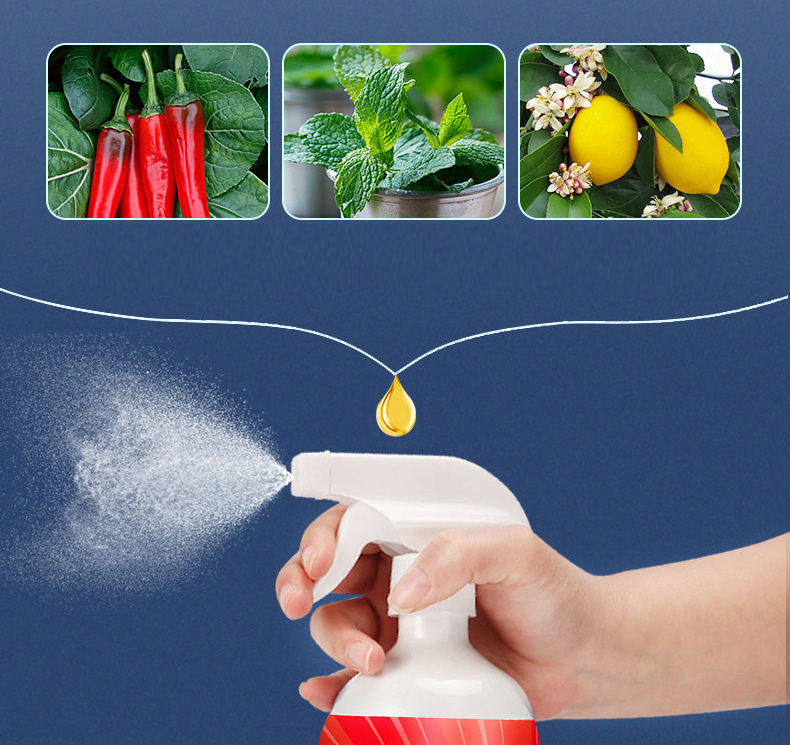 Bình Xịt Đuổi Chuột 500Ml