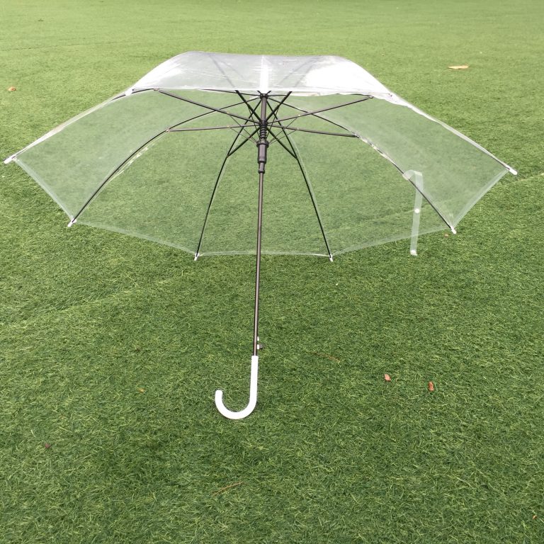 Dù Che Mưa Trong Suốt Dù Che Mưa Trong Suốt