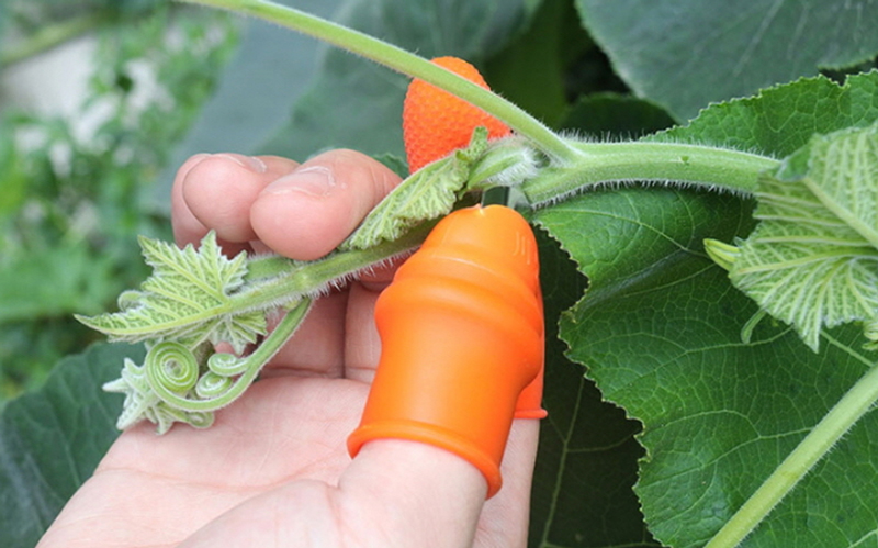 Bộ Dao Ngón Tay Cắt Rau Silicon 5.3x3.1cm