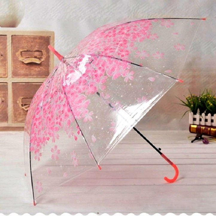 Dù Cầm Tay Đi Mưa Trong Suốt Hình Hoa Anh Đào Dù Cầm Tay Đi Mưa Trong Suốt Hình Hoa Anh Đào