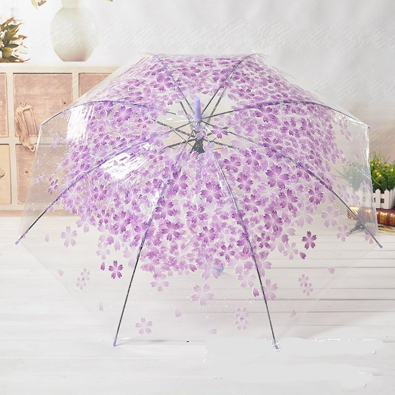 Dù Cầm Tay Đi Mưa Trong Suốt Hình Hoa Anh Đào Dù Cầm Tay Đi Mưa Trong Suốt Hình Hoa Anh Đào
