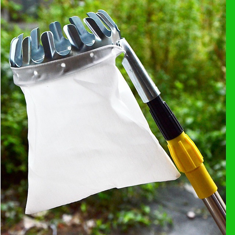 Dụng Cụ Hái Trái Cây 14Cm (Loại Nhỏ)