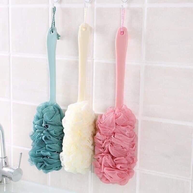 Cây Cọ Lưng Siêu Sạch Cây Cọ Lưng Siêu Sạch