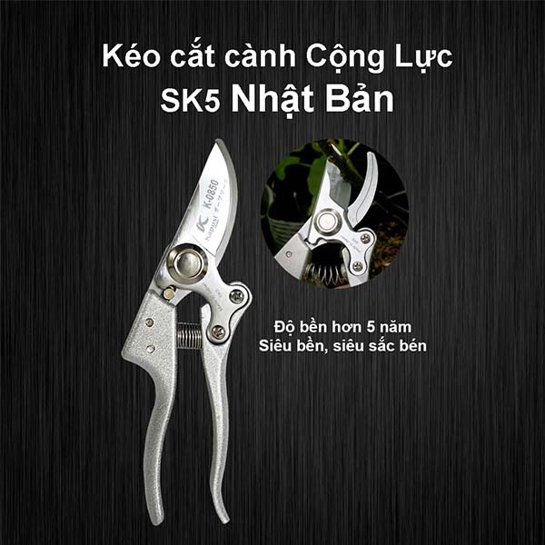 Kéo Cắt Cành Nhật Bản Zs 210 Kéo Cắt Cành Nhật Bản Zs 210