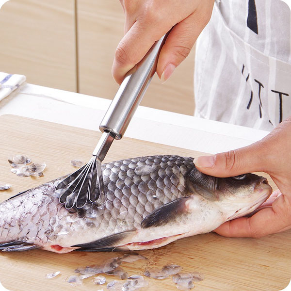 Dụng Cụ Đánh Vảy Cá, Nạo Dừa Dụng Cụ Đánh Vảy Cá, Nạo Dừa