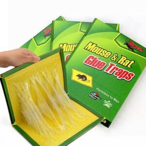 Miếng Keo Dán Keo Dính Chuột Siêu Chắc