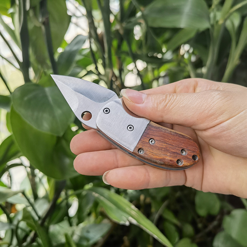 Dao Xếp Usa Mini Đa Năng Khi Đi Du Lịch Cắm Trại Dao Xếp Usa Mini Đa Năng Khi Đi Du Lịch Cắm Trại