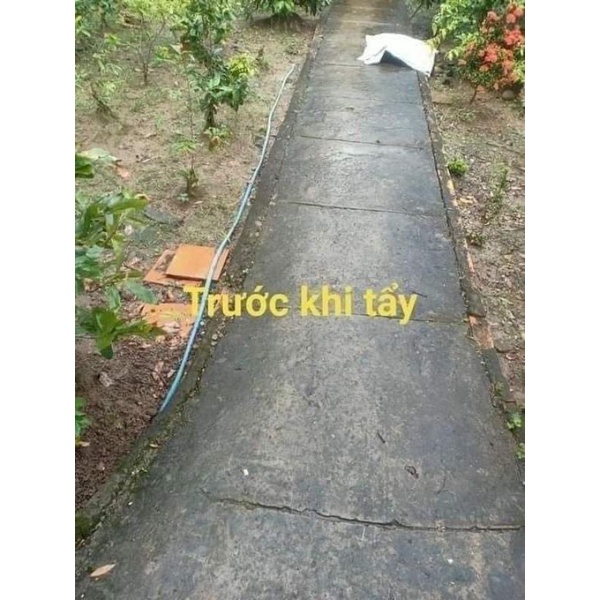 Thuốc Tẩy Rong Rêu Gói 500Gr (T60)