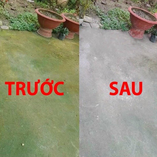 Thuốc Tẩy Rong Rêu Gói 500Gr (T60)
