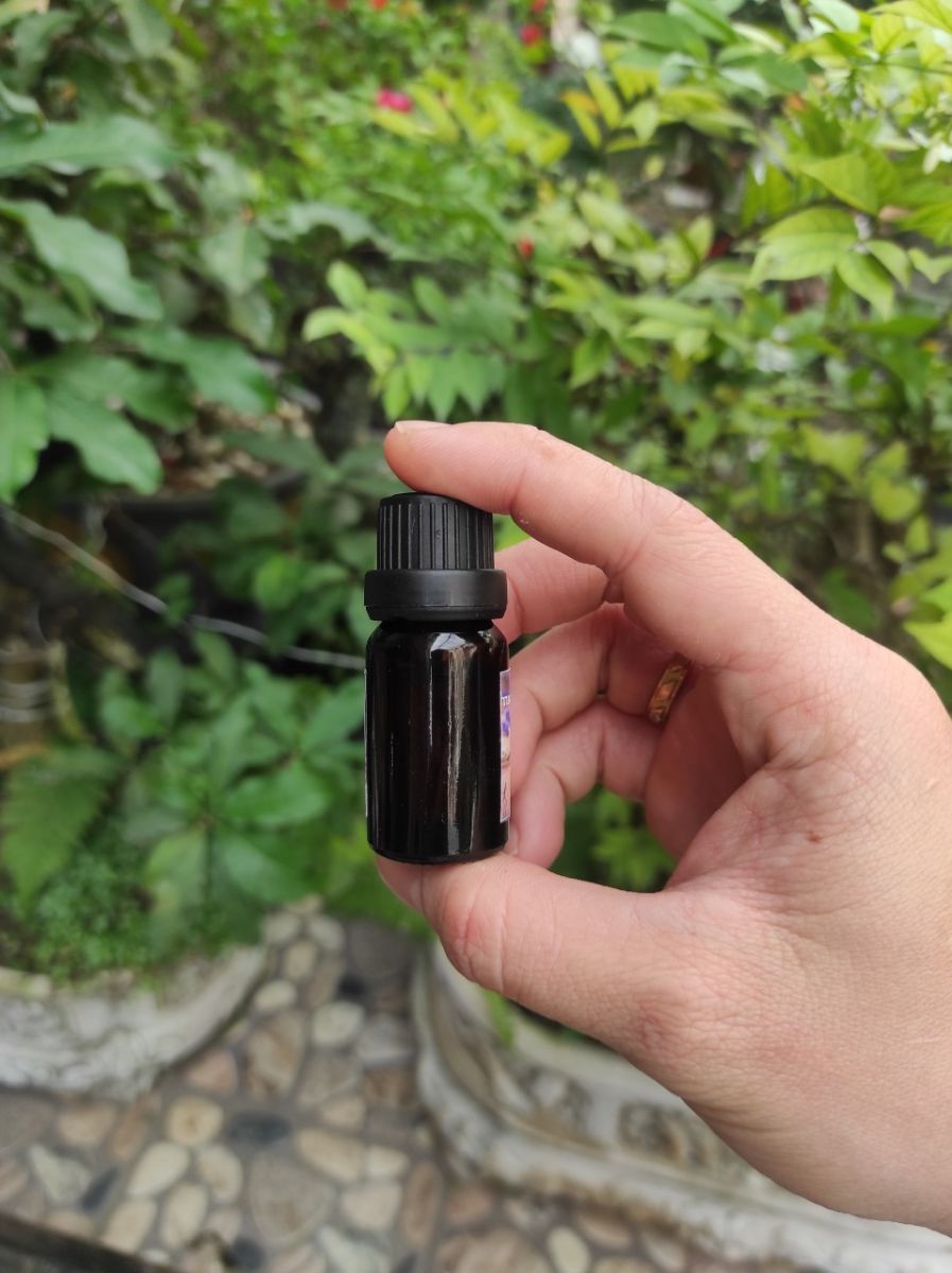 Chai Tinh Dầu Xông Phòng Hương Oải Hương 10ml Chai Tinh Dầu Xông Phòng Hương Oải Hương 10ml