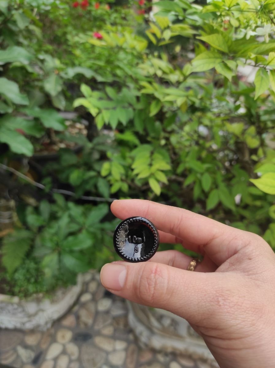 Chai Tinh Dầu Xông Phòng Hương Oải Hương 10ml Chai Tinh Dầu Xông Phòng Hương Oải Hương 10ml