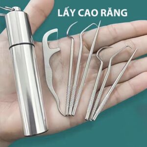 Bộ Dụng Cụ Làm Sạch Răng Miệng Bằng Inox Tiện Lợi