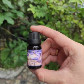 Chai Tinh Dầu Xông Phòng Hương Oải Hương 10ml