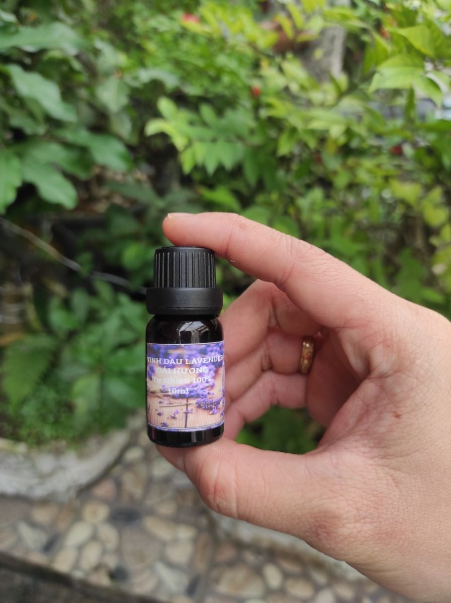 Chai Tinh Dầu Xông Phòng Hương Oải Hương 10ml Chai Tinh Dầu Xông Phòng Hương Oải Hương 10ml