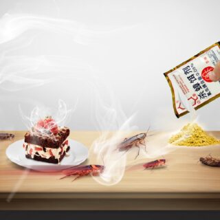 Gói Thuốc Diệt Gián An Toàn Tiện Lợi