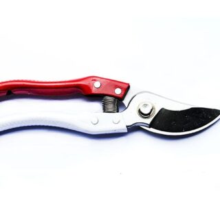 Kéo Cắt Cành Cây Nhật Bản P-168A Japan