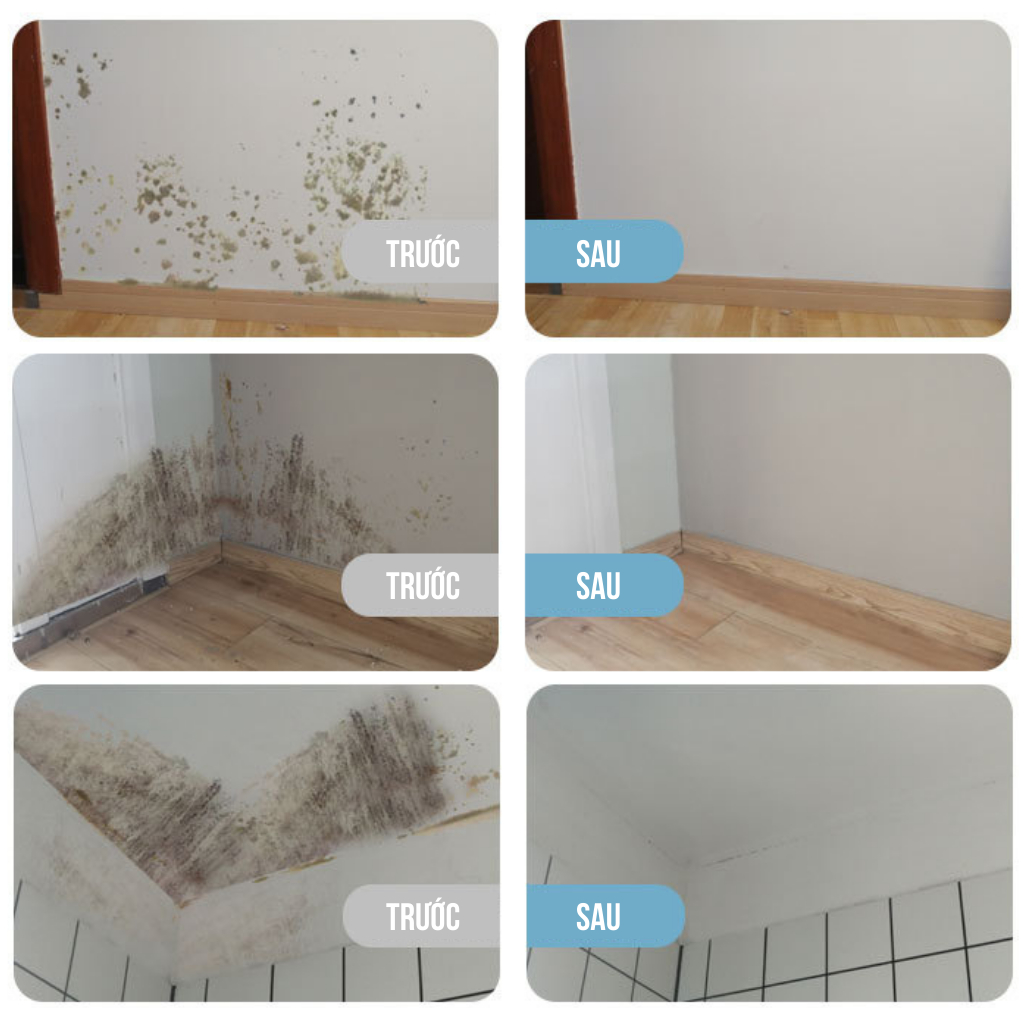 Chai Xịt Tẩy Nấm Mốc Nhà Cửa 500Ml Làm Sạch Nhanh