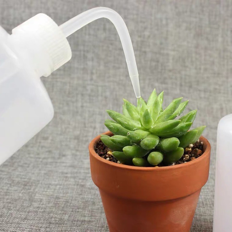 Bình Xịt Nước Tưới Cây 250Ml Chuyên Dùng Tưới Sen Đá