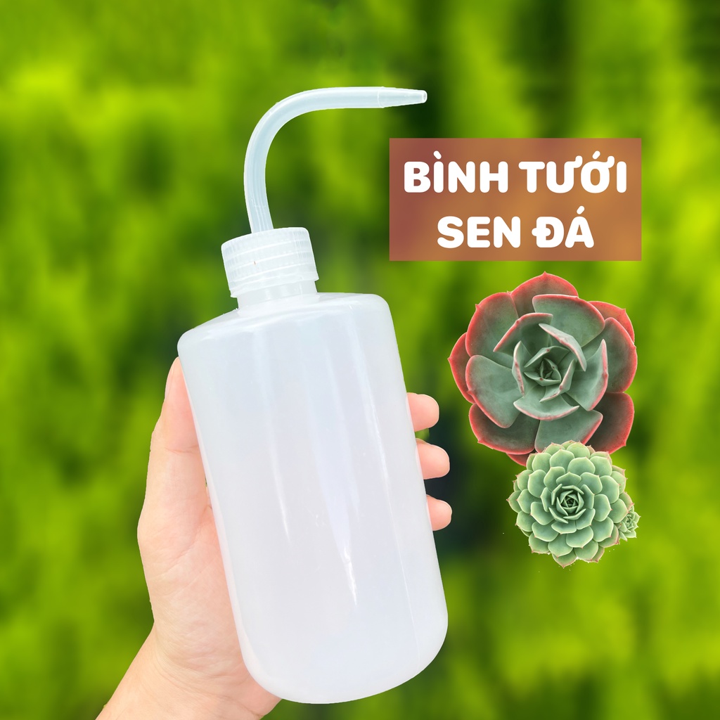Bình Xịt Nước Tưới Cây 250Ml Chuyên Dùng Tưới Sen Đá