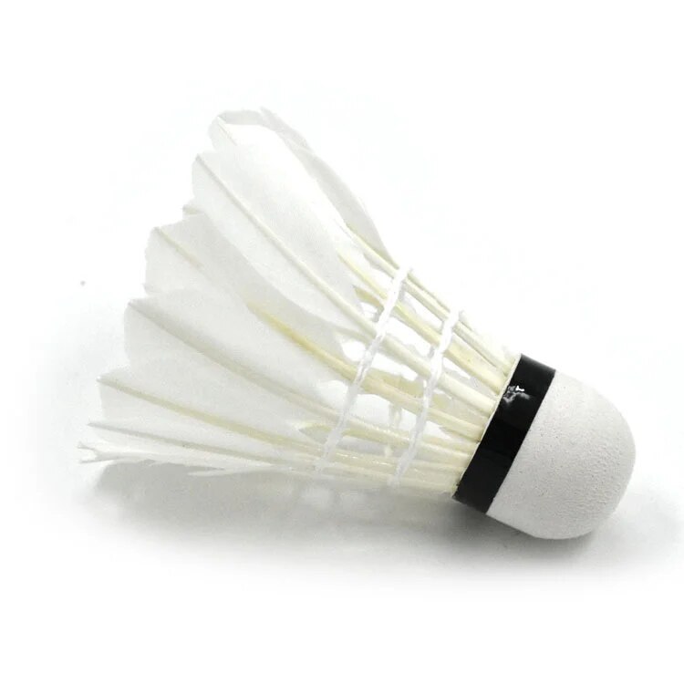 Ống Cầu Lông 12 Trái Hàng Chuẩn Đẹp Thích Hợp Luyện Tập Thể Thao Ngoài Trời Trong Nhà Ống Cầu Lông 12 Trái Hàng Chuẩn Đẹp Thích Hợp Luyện Tập Thể Thao Ngoài Trời Trong Nhà