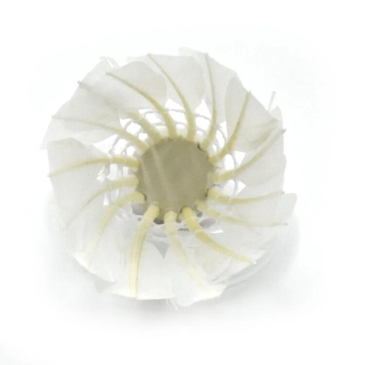 Ống Cầu Lông 12 Trái Hàng Chuẩn Đẹp Thích Hợp Luyện Tập Thể Thao Ngoài Trời Trong Nhà Ống Cầu Lông 12 Trái Hàng Chuẩn Đẹp Thích Hợp Luyện Tập Thể Thao Ngoài Trời Trong Nhà