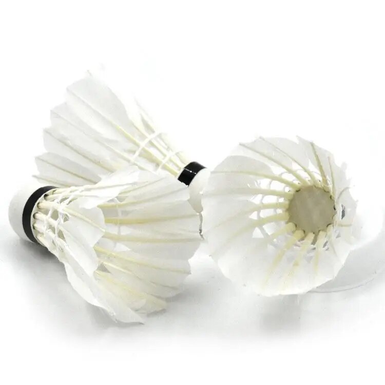 Ống Cầu Lông 12 Trái Hàng Chuẩn Đẹp Thích Hợp Luyện Tập Thể Thao Ngoài Trời Trong Nhà Ống Cầu Lông 12 Trái Hàng Chuẩn Đẹp Thích Hợp Luyện Tập Thể Thao Ngoài Trời Trong Nhà