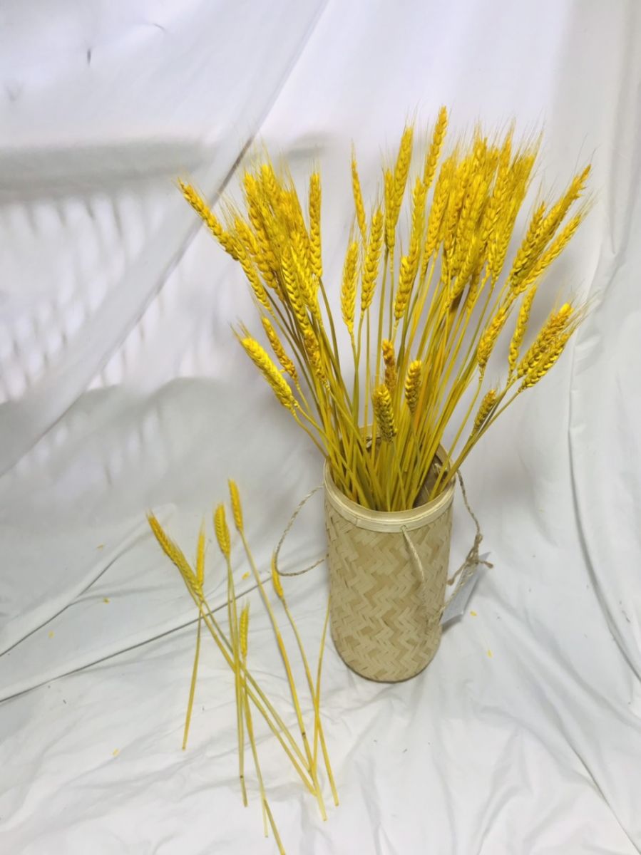 Bó Bông Lúa Tài Lộc Trang Trí Nhà Cửa (100 Cây)