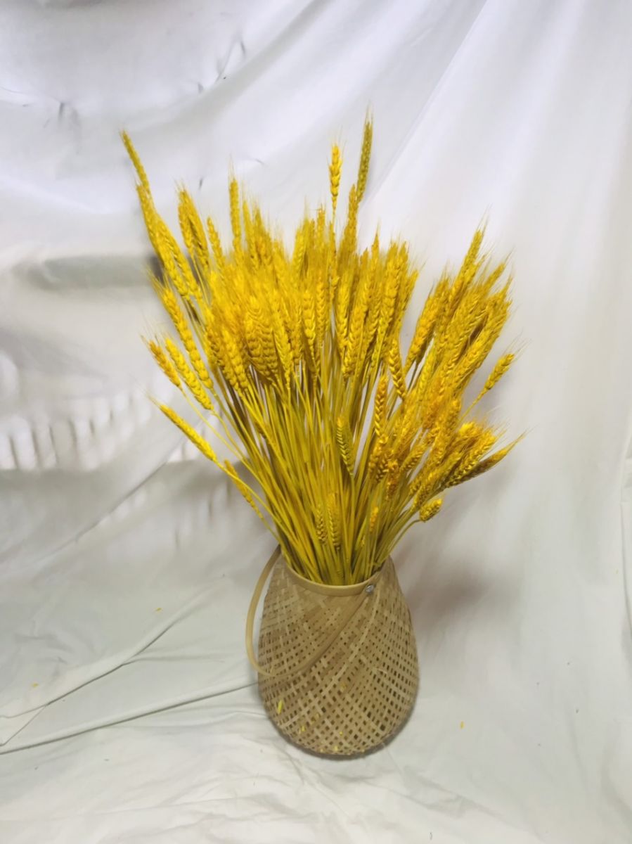 Bó Bông Lúa Tài Lộc Trang Trí Nhà Cửa (100 Cây)