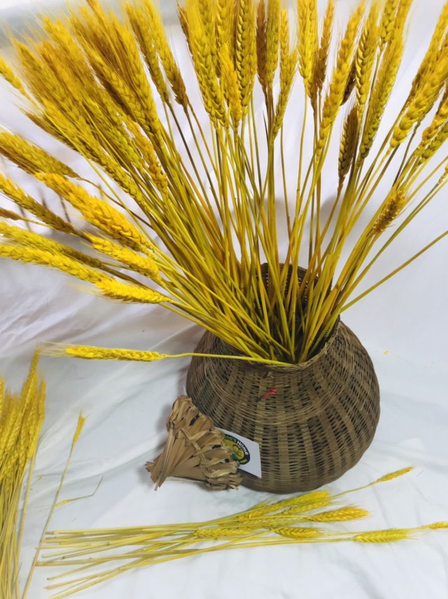 Bó Bông Lúa Tài Lộc Trang Trí Nhà Cửa (100 Cây)