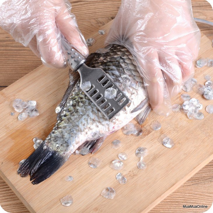 Dụng Cụ Đánh Vảy Cá