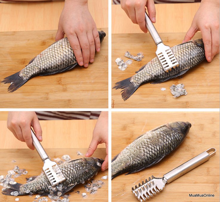 Dụng Cụ Đánh Vảy Cá