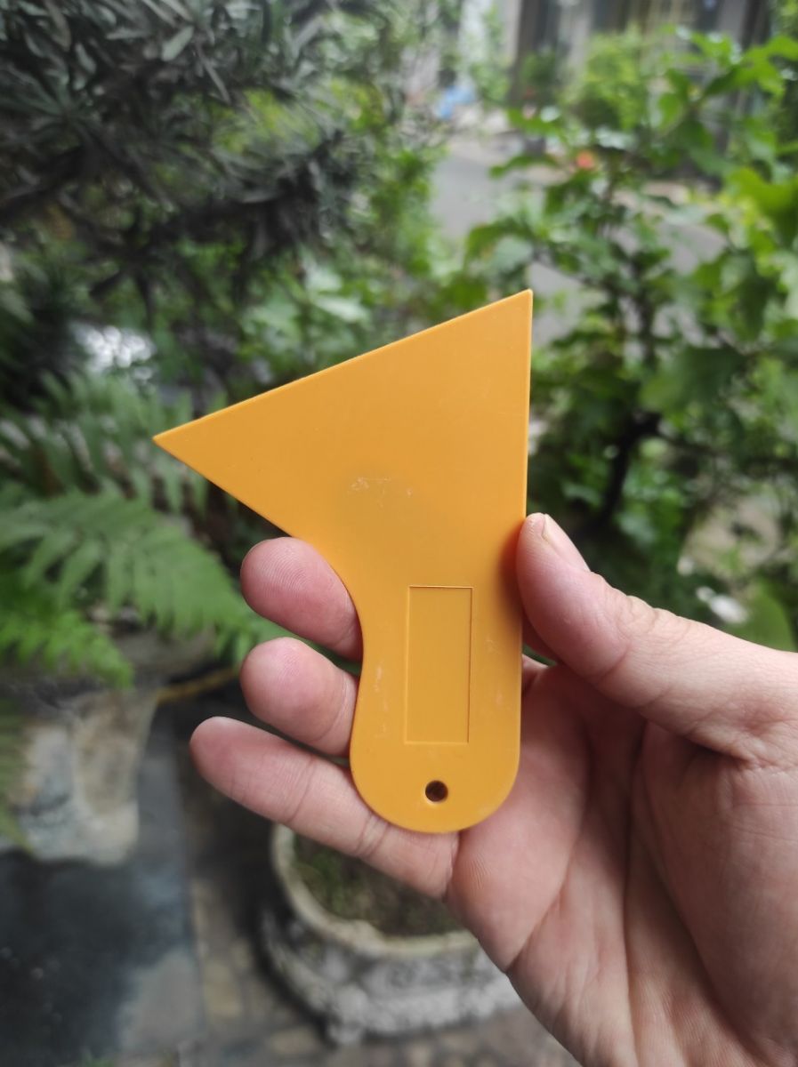 Cây Trám Keo Tường Ngắn Cây Trám Keo Tường Ngắn