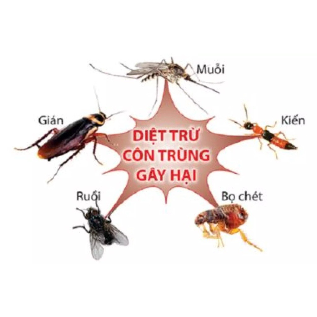 Chai Diệt Kiến, Gián, Côn Trùng Hiệu Quả Sinh Học Chai Diệt Kiến, Gián, Côn Trùng Hiệu Quả Sinh Học