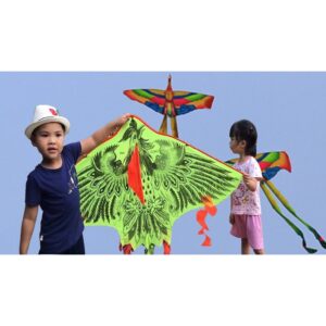 Diều Thả Ngoài Trời Hình Phượng Hoàng Lửa 145x85cm Kèm Dây Dài 80M