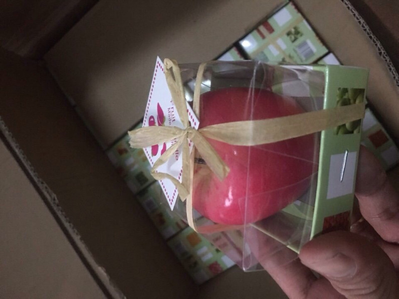 Sáp Nến Trái Táo Sáp Nến Trái Táo