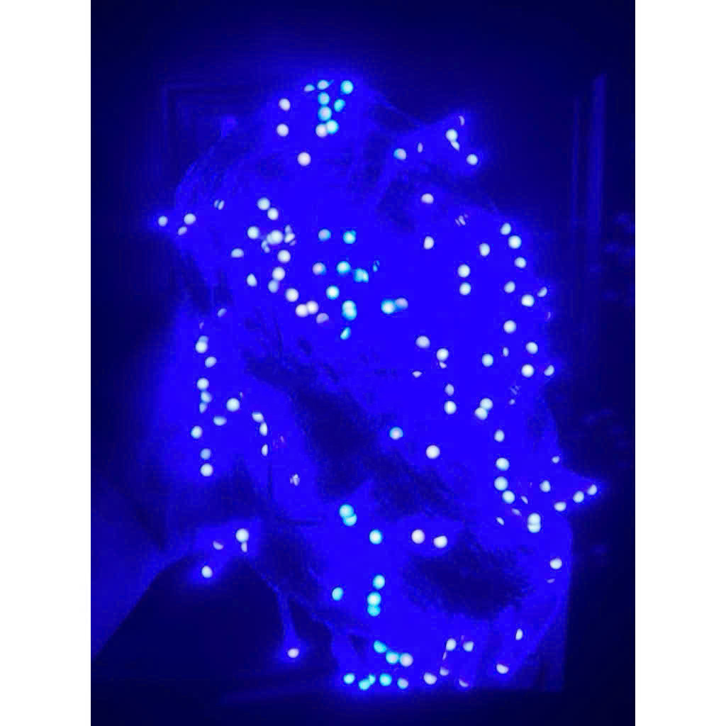 Dây Đèn Dp Xanh Dương Dài 80M Bóng Lớn V8 Có Box & Đầu Nối